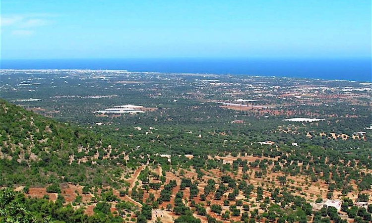 Selva di Fasano, tornanti da guidare