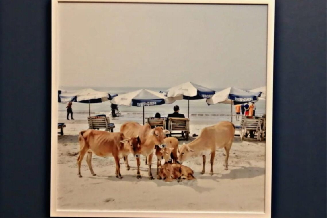 Sea beach, Ismail Ferdous