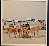 Sea beach, Ismail Ferdous