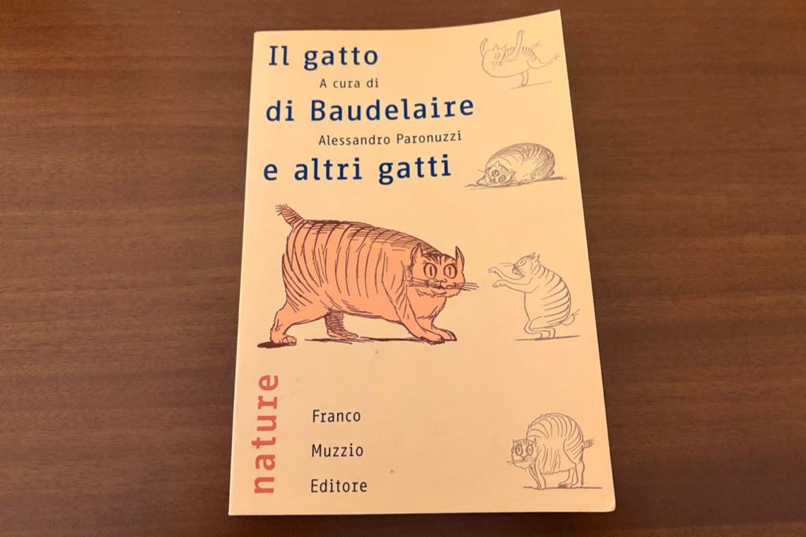 Il gatto di Baudelaire e altri gatti