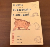 Il gatto di Baudelaire e altri gatti