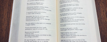 Scrivere il curriculum, i consigli di Wistawa Szymborska