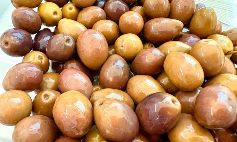 Peranzana, un’oliva da scoprire