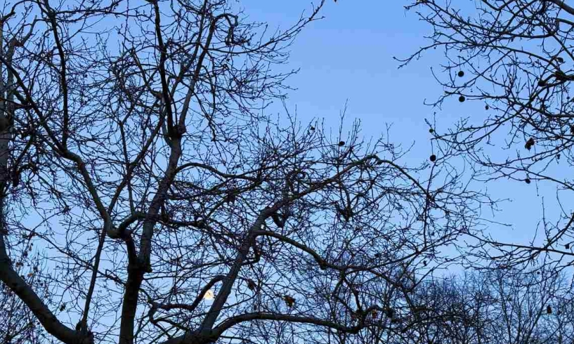 Potrebbe essere sera