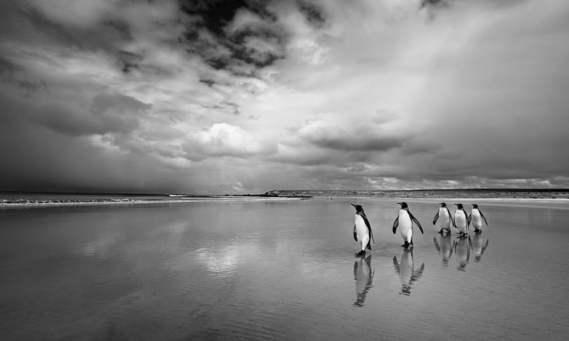 Cristina Mittermeier, la rivoluzione irresistibile