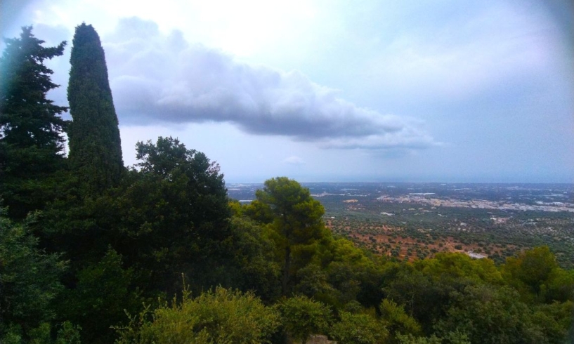 La finestra sulla Selva