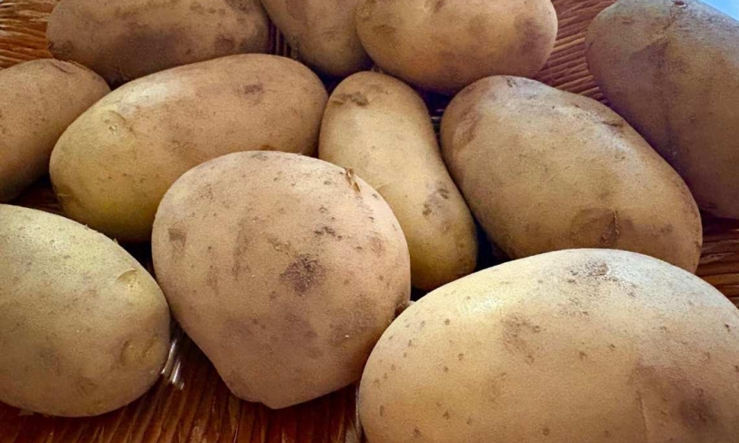 Patata di Zapponeta, irresistibile
