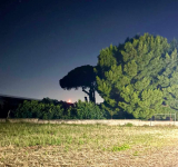 Un brivido che vola via