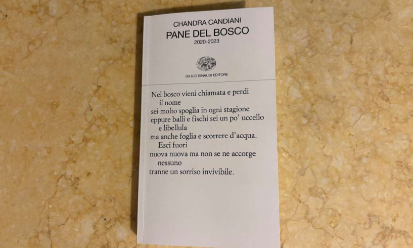 Pane del bosco, Chandra Candiani