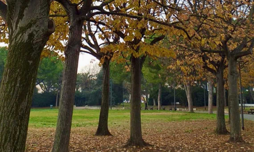 Sola e pensosa, poesie d’ottobre